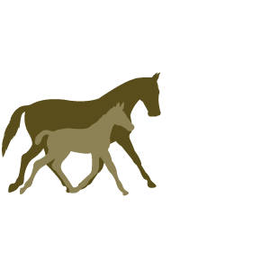 Gebr. Bosch